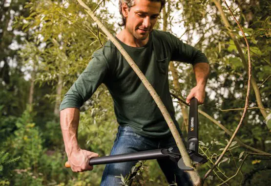 Sekator Fiskars wymarzone narzędzie na działce