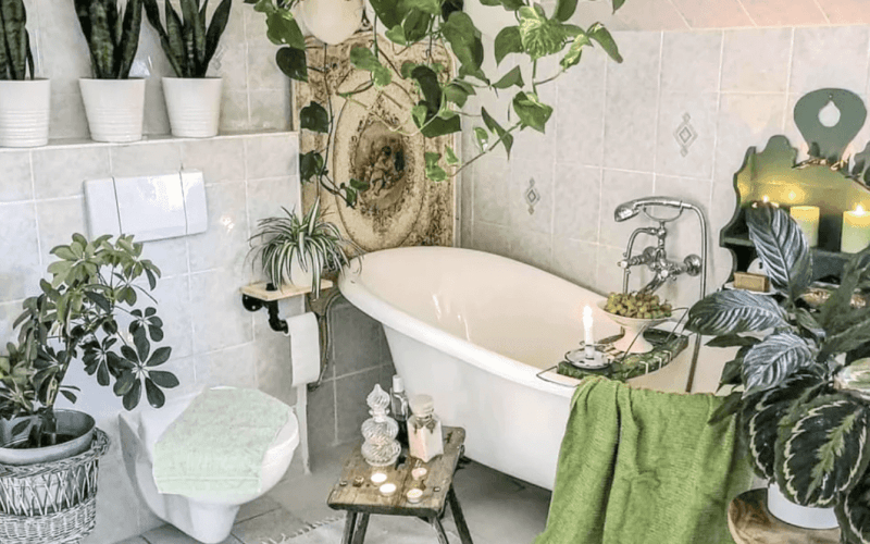 Które kwiaty do łazienki będą odpowiednie