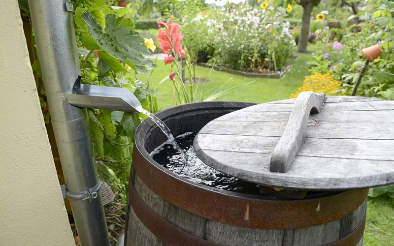 Zbiornik na deszczówkę to trend EKO!