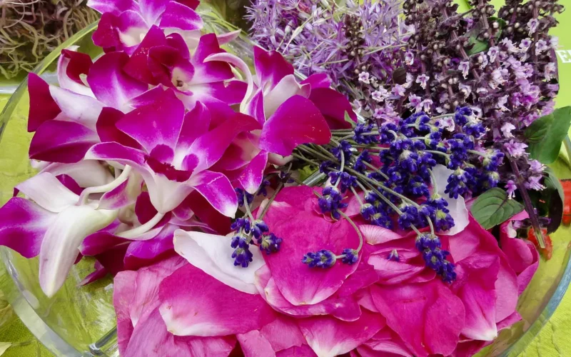 Kwiaty jadalne ze swojego ogródka