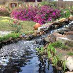 oczko wodne w ogrodzie