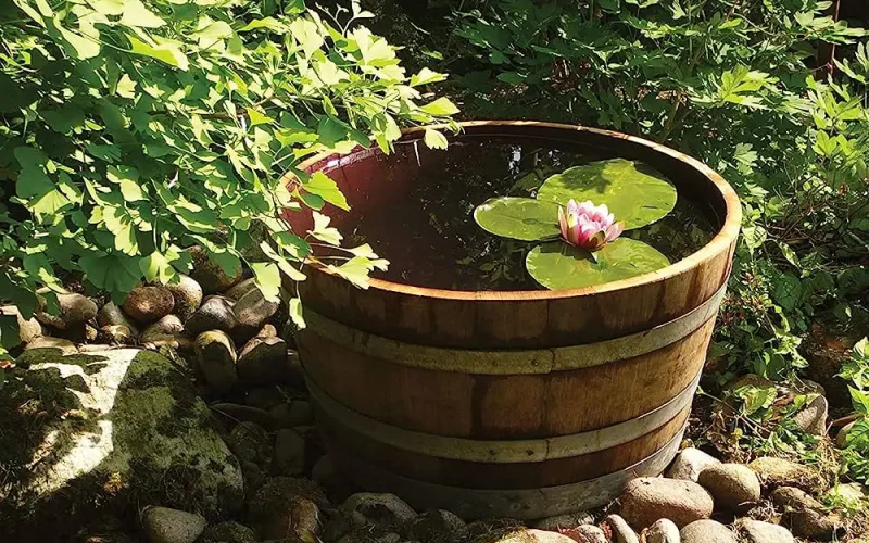 Beczka drewniana – renowacja krok po kroku