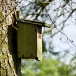 budka lęgowa