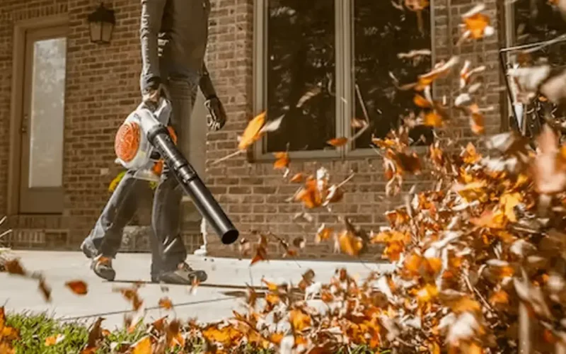 Dmuchawa do liści – czy warto ją kupić