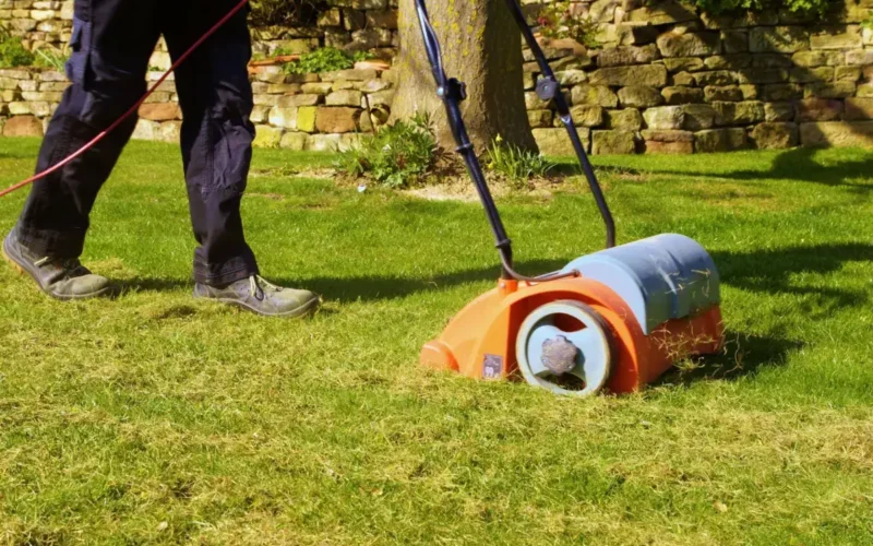 Wiosenna wertykulacja – ranking 3 wertykulatorów do 500 zł