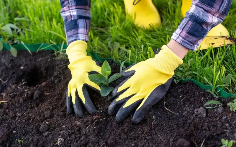 Rękawice ogrodowe musisz je mieć
